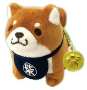 [] ΁@ʂBCi`[j@yzy10,000~ȏ㑗z(`EP`Vo kCO~r[V[ `[ IJJ)