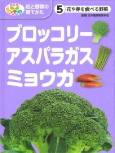 [] ԂHׂ؁@ubR[EAXpKXE~EKy10,000~ȏ㑗z(ni^xTCubR[AXpKX~E)