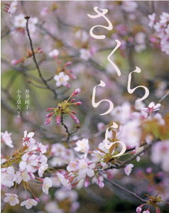 [] y10,000~ȏ㑗z(TN)