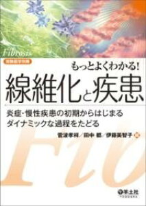 [] Ƃ悭킩IۉƎy10,000~ȏ㑗z(bgNJZCJgVbJ)