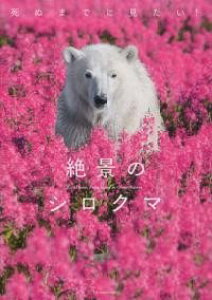 [] ʂ܂łɌIĩVN}y10,000~ȏ㑗z(Vk}fj~^C![bPCmVN})