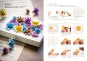 [] PIENI SIENI ̂킢tFgt[Lbgy10,000~ȏ㑗z(sGjVGjmJCCtFgt[Lbg)