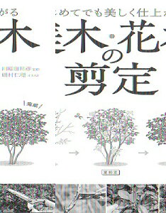 [] ͂߂Ăłdオ@؁EԖ؂̙y10,000~ȏ㑗z(nWefEcNVNVAKjLniLmZeC)