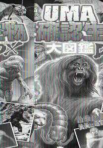 [] Et@C@UMAmF}DXy10,000~ȏ㑗z(`EJCLt@CUMA~JNjZCuc_CYJDX)