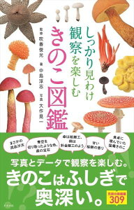 [] 茩킯ώ@yނ̂}Ӂy10,000~ȏ㑗z(VbJ~PJTc^mVLmRYJ)