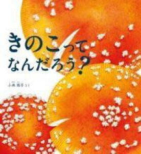 [] ̂ā@Ȃ񂾂낤Hy10,000~ȏ㑗z(LmRbei_E)