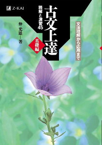 [����] Z��@�Õ���B��b�ғǉ��Ɖ��K45�y10,000�~�ȏ㑗�������z(�[�b�g�J�C�R�u���W���E�^�c�L�\�w���h�b�J�C�g�G���V���E45)