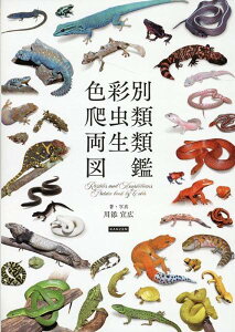 [����] �F�ʕ� ঒��ށE�����ސ}�Ӂy10,000�~�ȏ㑗�������z(�V�L�T�C�x�c�n�`���E���C�����E�Z�C���C�Y�J��)