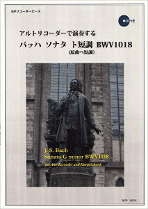 [y] RP@AgR[_[ŉt@obn@\i^@gZ@BWV1018y10,000~ȏ㑗z(RPAgR[_[fG\EXobn\i^g^`EBWV1018)