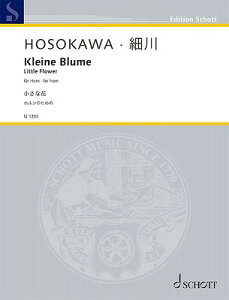 [y] SJ1206 אrvFȉԁy10,000~ȏ㑗z(SJ1026z\JgVI`CTini)
