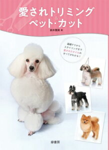 [] g~OybgEJbgy10,000~ȏ㑗z(ACTg~O&ybgEJbg)