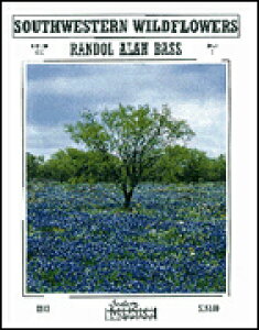 [�y��] �쐼���̖쐶�̉�(�x�[�X) ���t�y���y���������z(SOUTHWESTERN WILDFLOWERS)�s�A���y���t
