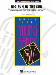 [y] rbOEt@ECEUET tyyz(Big Fun in the Sun)sAyt