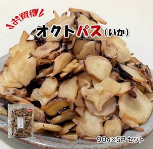 yZbgz INgpXij90g×5PZbg  󌱐 ɕ{V{   CJ   󌱐  iF v[g