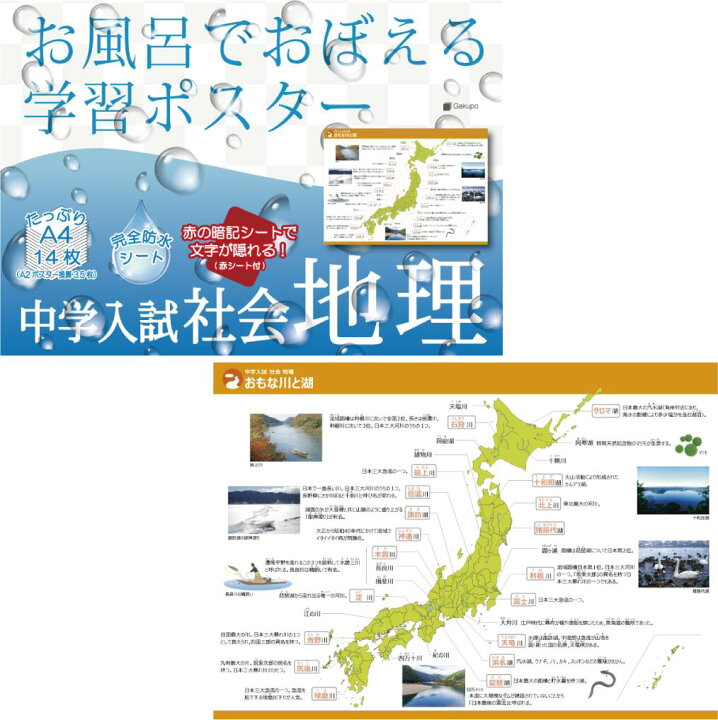 楽天市場 お風呂でおぼえる学習ポスター 中学入試 社会地理 暗記シート付 防水 都道府県名 中学受験 白地図 Gakupo