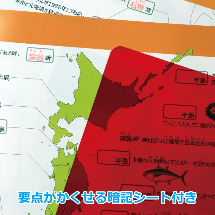 中学受験　地理シート　A4ラミネート　30枚　白地図のおともに 楽天市場】Gakupo お風呂でおぼえる学習ポスター 中学入試 社会地理