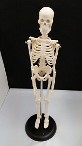 l̍i͌^@~ji͌^@42Z`̒^X^h