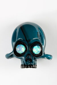 NS-79 30g`34.9g (R) u[Xv[X bh KX_ 1{ t@[XgNIeB[ KXƌ KXޗ North Star Blue Spruce fast 1{