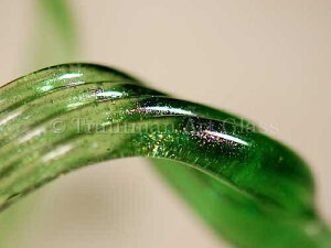 TAG-043 35g`39.9g(Y) O[ X^[_Xg KX_ 1{ t@[XgNIeB[ KXƌ KXޗ Trautman Art Glass Green Stardust fast 1{