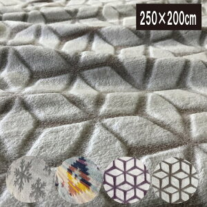 A 傫ѕz (250×200cm)@}CNt@Co[ѕz@t@~[TCYѕzi`jhЃObY pѕzɂOK ChLO t@~[TCY |ѕzłOK t@~[