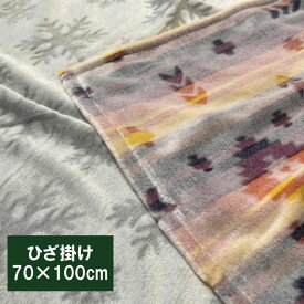 ひざかけ　あたたか　マイクロファイバー　ひざ掛け毛布　ミニケット（70×100cm）ひざ掛け/毛布/ブランケット