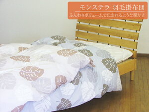 xngp@C@Hѕzc Z~_u 170×210cm _E85% HтӂƂ@GNZS[hxNX@23888