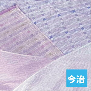@炩tFCX^I tFCX^I@1@3g@10g@C