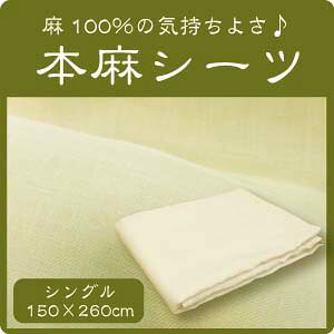 �{��100���@�t���b�g�V�[�c�@�V���O�� �@�{���V�[�c�@���D��V�[�c�@��100���@���~�[�@���l���ł͂���܂���@�􂦂�{���V�[�c��100���s26000�t