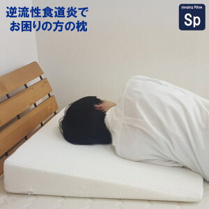 tH  ł̕p̖@M[TCY@XΖ@NbVtH ܂iݐHtǁ@HjtH 뚋x Q