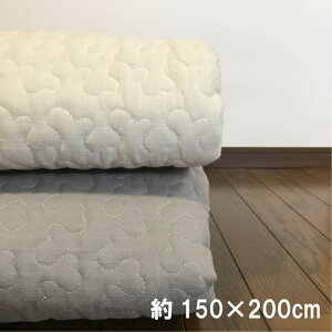 Cu@\tgK[[@LeBO}bg@150×200cm@zc@~pbhiCh_ujĂ͂ƁA~͒gAI[V[Y@xr[ Q Instagram@O@xr[@|zc@