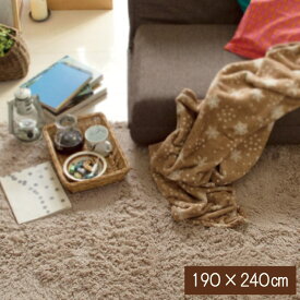 シャギーラグ 洗える　ラグ　ラグマット　190×240cm　無地ラグ カーペット ラグ マット ラグマット 洗える 絨毯 じゅうたん シャギー