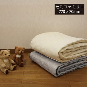 A 2dK[[ƕ~pbhZ~t@~[(220×205cm)~pbg _uK[[ xbhpbh ybgpbg@VOƃZ~_u