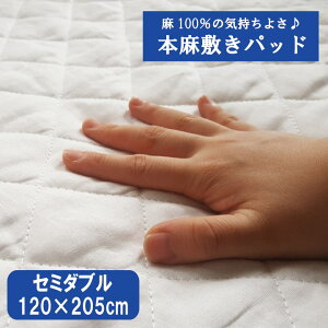 A �~�p�b�h �{���~���p�b�h�Z�~�_�u���i120×205cm�j�ې�OK! ��p�}�b�g �~���p�b�g �~�p�b�h �~�p�b�g �x�b�h�p�b�h �x�b�h�p�b�g �x�b�g�p�b�g ��100�� ���~�[