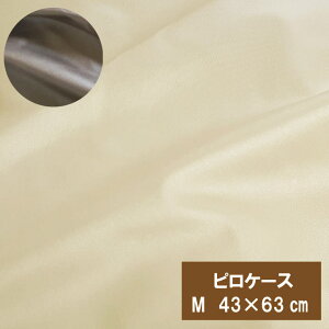 A@_jh~@sP[X@AT@43×63cm h_j xn Jo[@y @VN100̂悤Ȍ AT_[