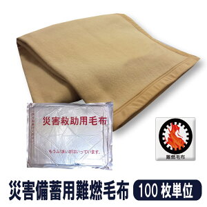 【100枚単位】 災害救助用毛布 災害備蓄用毛布 難燃毛布(防炎毛布タイプ) 災害用真空パック毛布 防災用毛布 防災ブランケット 災害毛布 防災毛布 災害用毛布 防災グッズ 避