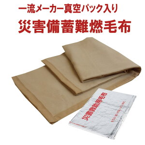 【1枚単位】 災害救助用毛布 災害備蓄用毛布 難燃毛布(防炎毛布タイプ) 災害用真空パック毛布 防災用毛布 防災ブランケット 災害毛布 防災毛布 災害用毛布 防災グッズ 避