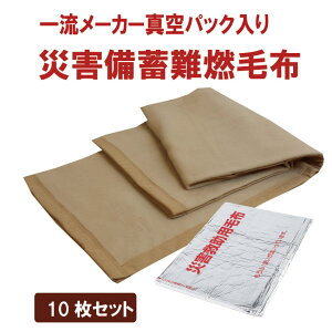 【10枚単位】 災害救助用毛布 災害備蓄用毛布 難燃毛布(防炎毛布タイプ) 災害用真空パック毛布 防災用毛布 防災ブランケット 災害毛布 防災毛布 災害用毛布 防災グッズ 避