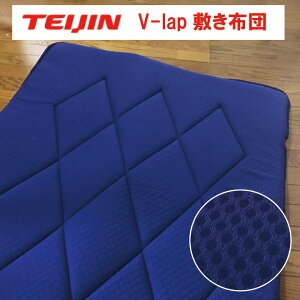 V-Lap ~zc@VOi100×210cmjV-lap DX ~zc@VO v-lap~zc vlapeCW teijin v-lapyʕ~zc
