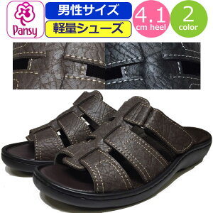 T_ Y pW[ y Pansy T_ xgT_ GNZ O RtH[gT_ y C  ItBX Г   ֗ ItBX V[Y 