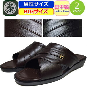 RtH[gT_ Y 4L 傫 y Marutai T_ wbvT_ }^C O { BIG 傫 29 30 y C  ItBX Г   ֗ V