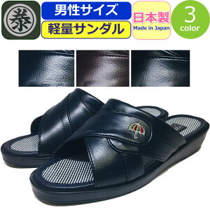 T_ Y  RtH[gT_ Y y Marutai wbvT_ }^C O { P y C  ItBX Г   ֗ ItBX 