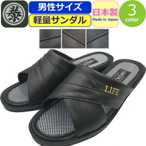 T_ Y { RtH[gT_ y Marutai T_ wbvT_ }^C O C  ItBX Г   ֗ ItBX V[Y I