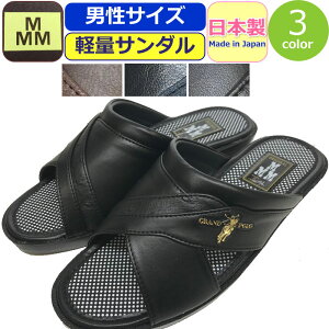 RtH[gT_ Y y GX[ M-THREE MMM T_ wbvT_ O󂫃T_ { y C  ItBX Г   ֗ ItBX V