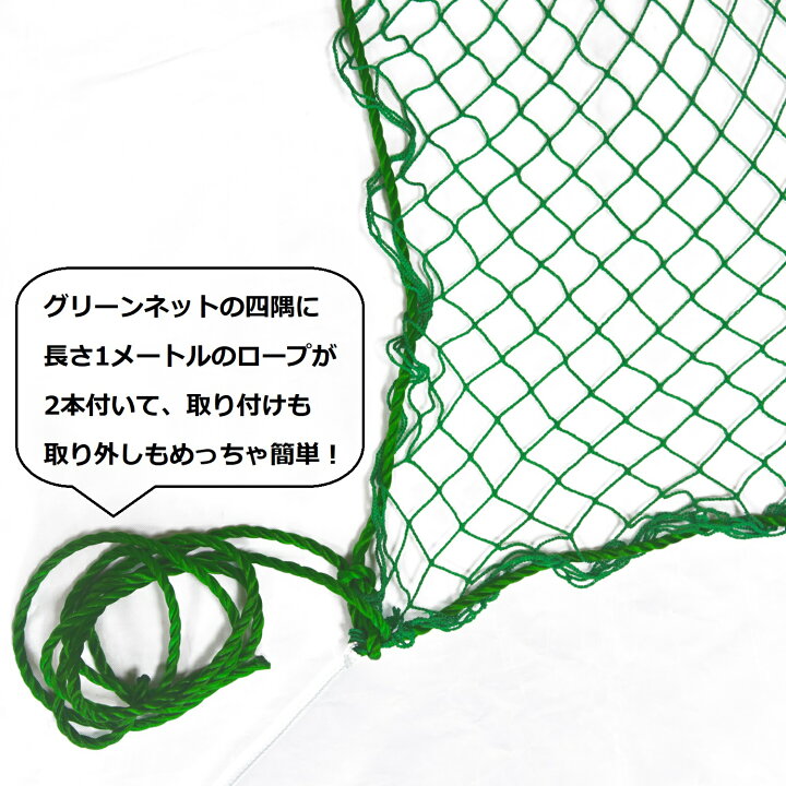 楽天市場】グリーンネット 5m×5m 25mm目 防鳥ネット 防獣ネット 多目的 