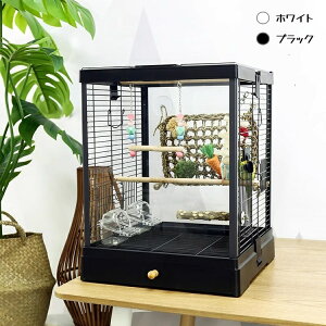  KXhA Ϗ  o[hP[W    P[W o[hpX ~܂ ogC ȒP CRP[W IEP[W  