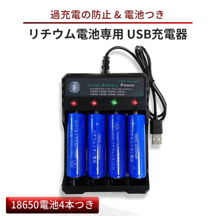 USB 充電器(電池付き)未使用