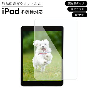 iPad tB 10.2 C` 10 10.9 iPad Air5 5 iPad mini 8.3 6 7.9 iPad 10.5 9.7 iPad Pro 11  KXtB NAKX 9 8 7 2019 2020 2021 یV[g tیtB