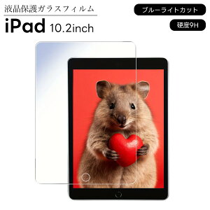 iPad u[CgJbg tB 9 10.2C` یtB KXtB ʕی یKX ϏՌ Glass ڂɗD 8 7