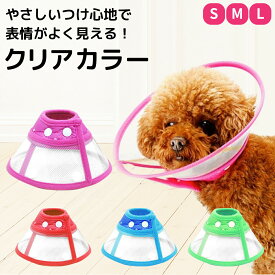 楽天市場 エリザベスカラー 適正犬種ミニチュア シュナウザー 介護用品 犬用品 ペット ペットグッズの通販
