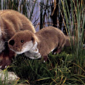 P[Z Koesen ʂ [bpJE\ij 